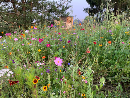 Insektenhotel Wiese