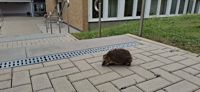 Foto des Monats August 2025