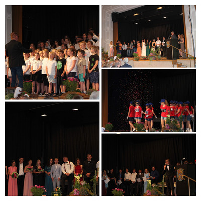 csm IMG 5617 COLLAGE 372b722b37