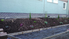 csm Innenhof Bepflanzung Blick Geb1 51cef9f628